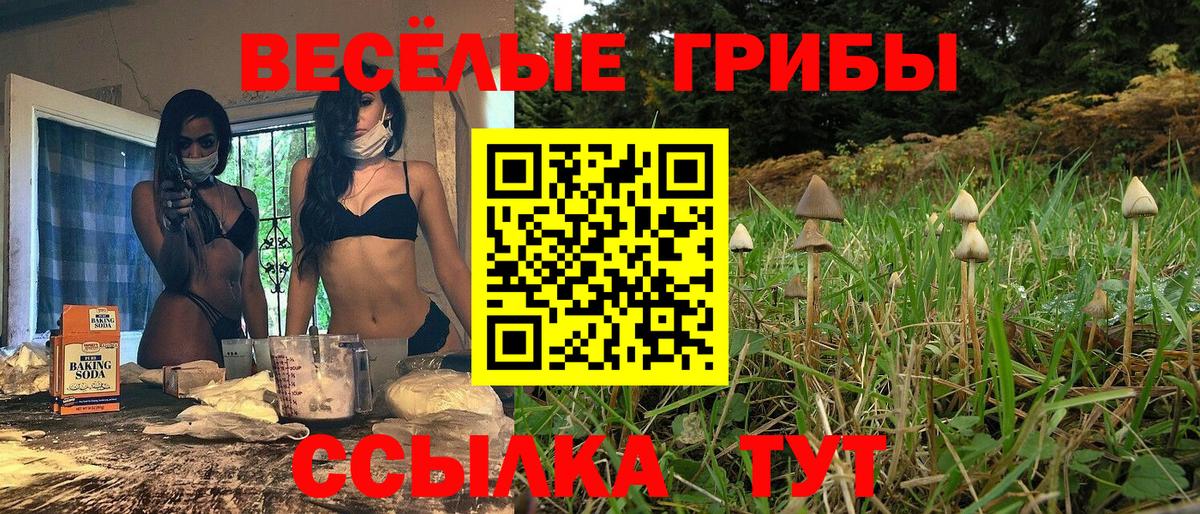 Галлюциногенные грибы Magic Shrooms Павлово